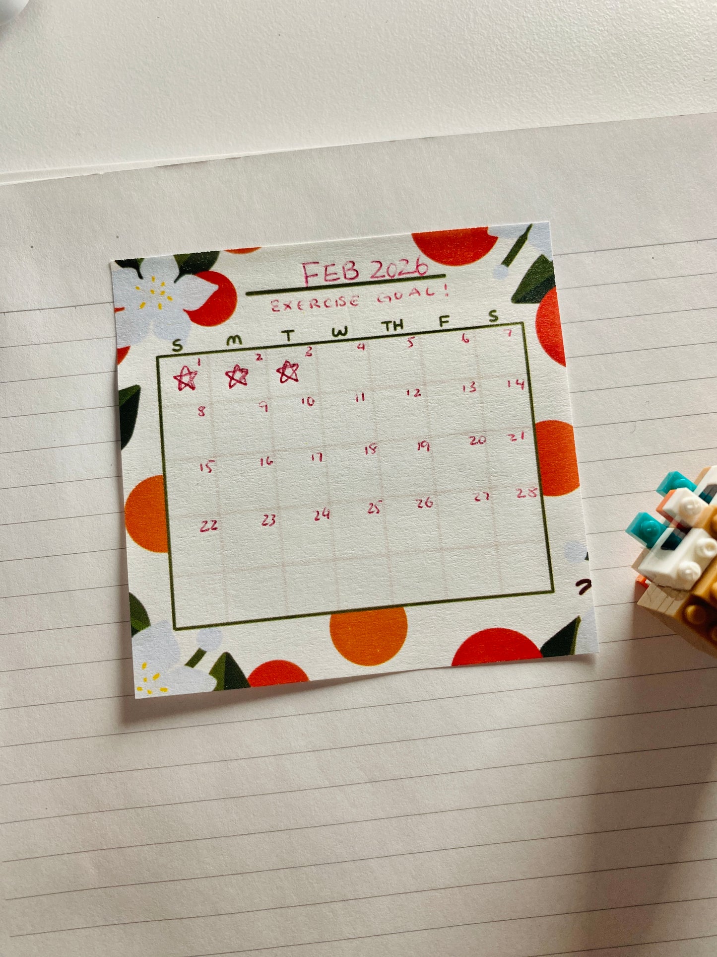 Oranges Memo Sticky Notes