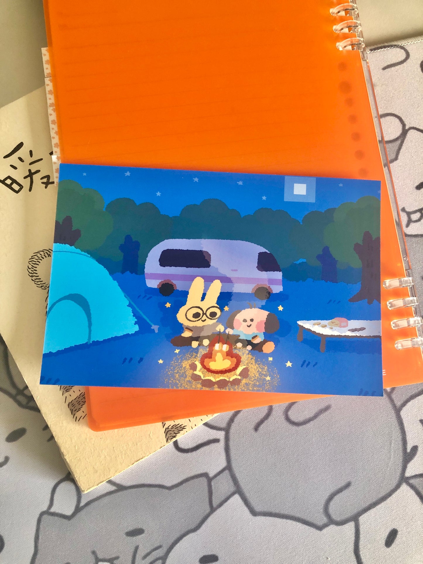 Ollie and Leoh Camping Night Store Mini Print