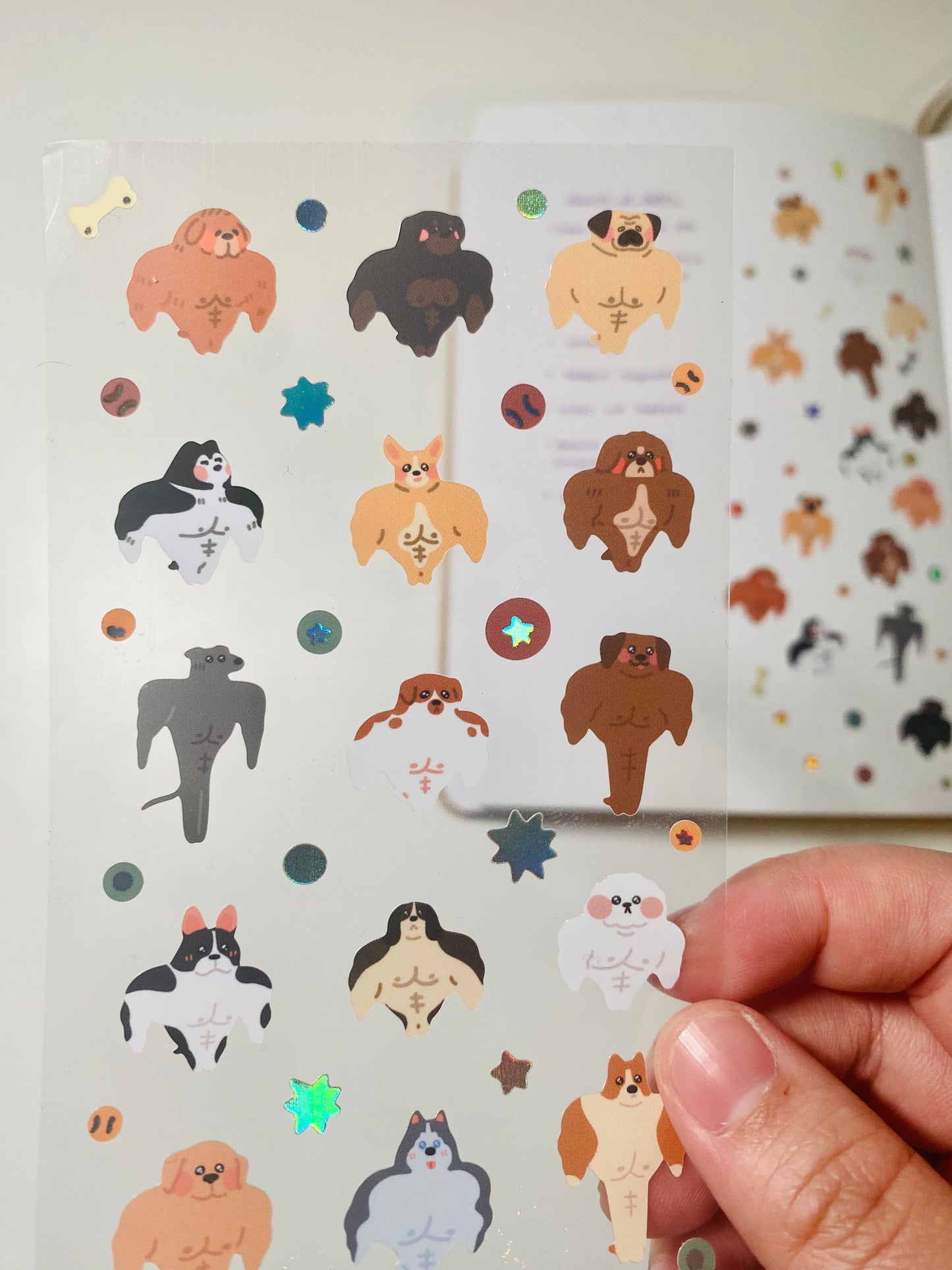 Silly Buff Dogs Sticker Sheet
